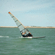 vela da windsurf da race / da regata / da competizione / SDM