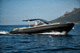 gommone entrobordo / semirigido / con console centrale / max. 16 persone