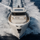 motor-yacht da crociera / con cabina di pilotaggio / IPS / con 2 cabine