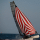 spinnaker / per multiscafo da corsa / in nylon / Formula 18
