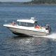 cabin-cruiser fuoribordo / con cockpit chiuso / da pesca sportiva / max. 8 persone