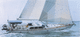 sailing-yacht da crociera / con poppa aperta / in alluminio / a chiglia retrattile
