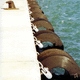 parabordi per porto / per pontile / cilindrico