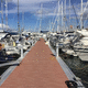 pontile galleggiante / di ormeggio / per marina / in calcestruzzo