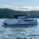 cabinato catamarano / entrobordo / open / con dual console