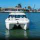 cabinato catamarano / fuoribordo / hard-top / sportivo