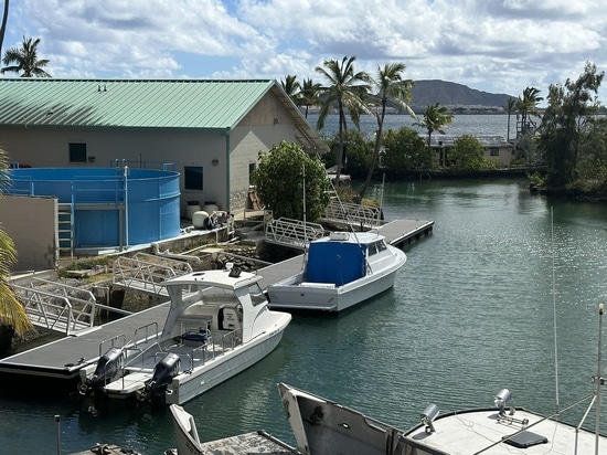 Come progettare un pontile galleggiante sull'acqua?