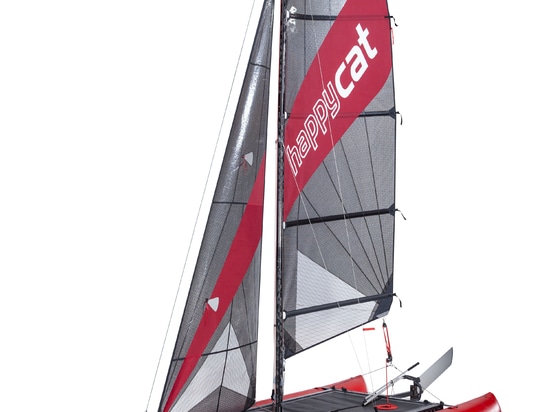 Novità mondiale: HAPPY CAT STAR CARBON