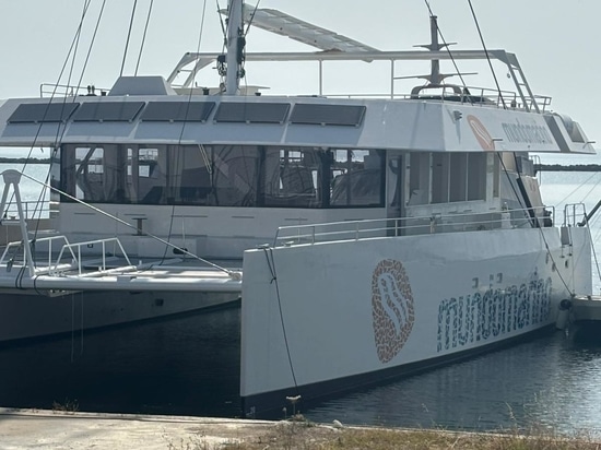 NAVIS 80 Noleggio Giornaliero - MUNDO MARINO Sostenible