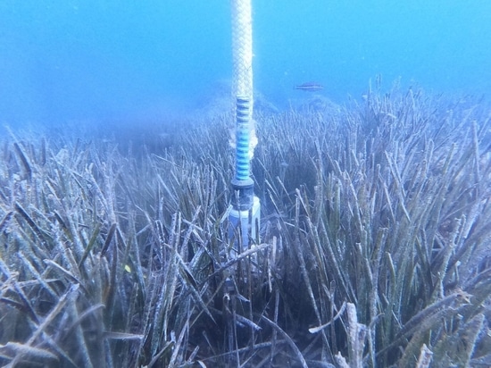 Le ancore Temano®: uniscono prestazioni, durata e rispetto per gli oceani