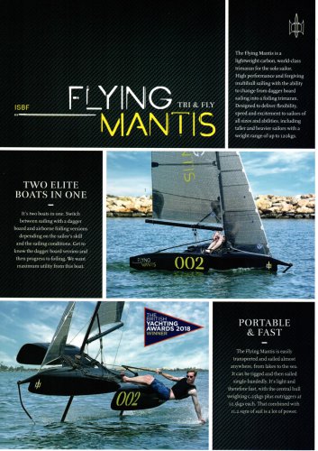 Flying Mantis