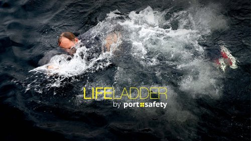 LifeLadder