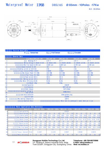 Electric motor D85L165 series