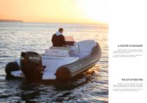 Stingher 22GT - 3