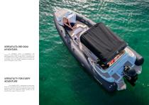 Stingher 22GT - 5