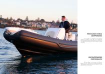 Stingher 22GT - 8