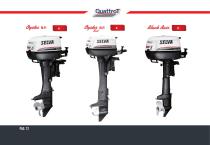 Catalogo Motori: Quattro tempi, DFI, Due tempi - 12