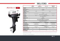 Catalogo Motori: Quattro tempi, DFI, Due tempi - 13