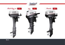 Catalogo Motori: Quattro tempi, DFI, Due tempi - 14