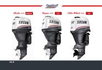 Catalogo Motori: Quattro tempi, DFI, Due tempi - 20