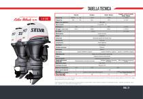 Catalogo Motori: Quattro tempi, DFI, Due tempi - 21