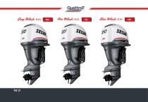 Catalogo Motori: Quattro tempi, DFI, Due tempi - 22
