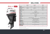 Catalogo Motori: Quattro tempi, DFI, Due tempi - 7