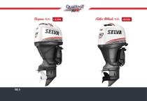Catalogo Motori: Quattro tempi, DFI, Due tempi - 8
