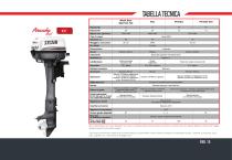 Quattro tempi, DFI, Due tempi - 15