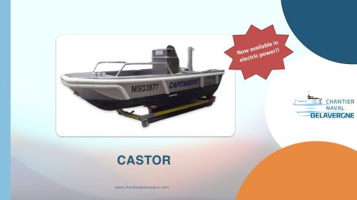 Castor Leaflet