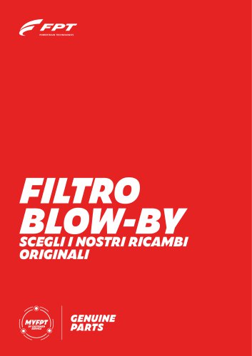 FILTRO  BLOW-BY