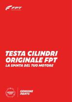 TESTA CILINDRI ORIGINALE FPT - 1