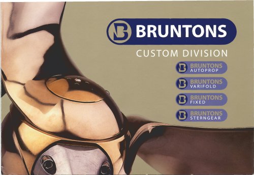 Custom Division