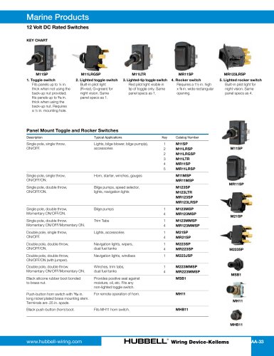 12 Volt DC Rated Switches