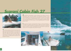 Scarani fish - 16