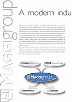 Maggi Product Guide - 5