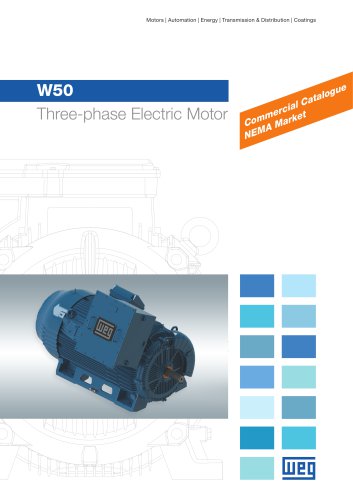 W50 - Three-phase Electric Motor