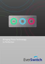 EVERSWITCH BROCHURE