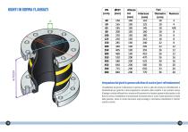 Manuale prodotti CO.FE.ME. Exhaust Systems-8