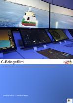 Cal-tek_CBridgeSim_IT - 1
