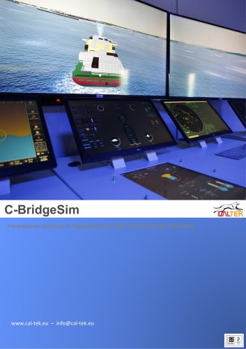 Cal-tek_CBridgeSim_IT