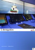 CALTEK_CBridgeSim